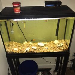  Fish Tank With Stand