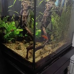 30 Gallons Aquarium Tank