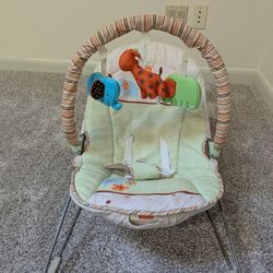 Safari Animal Themed Bouncer