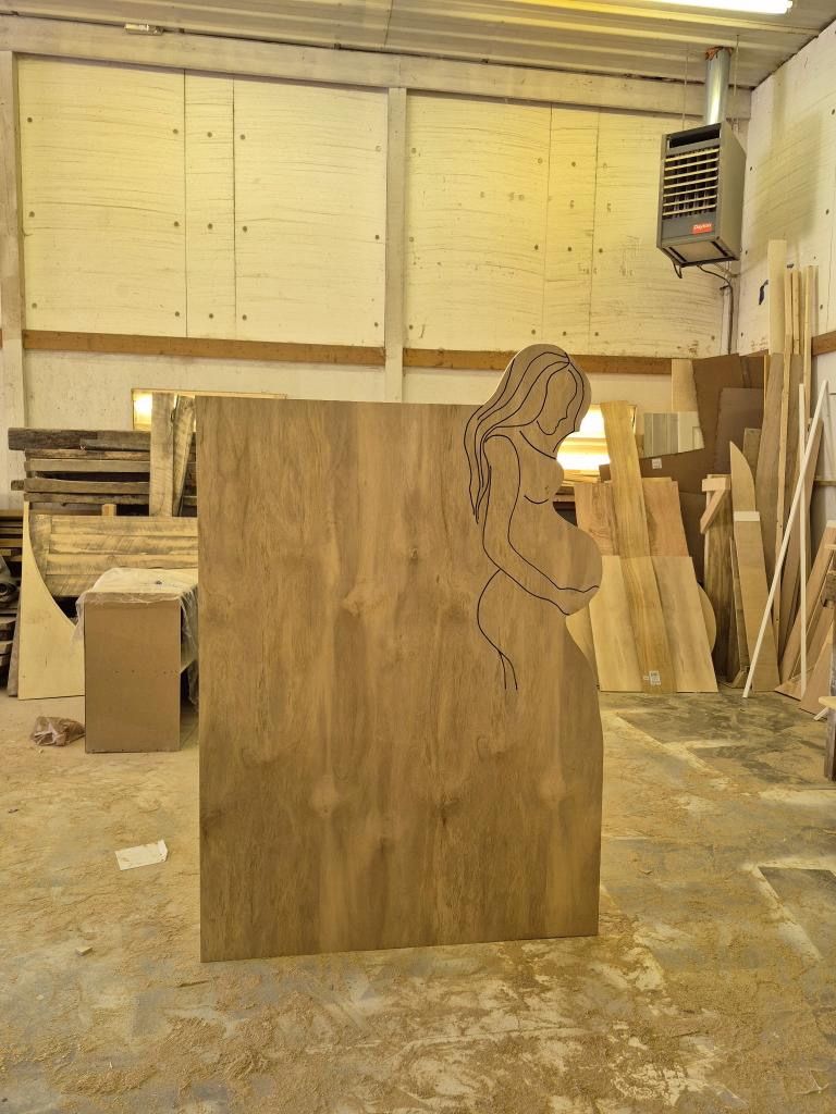 Pregnant Woman Baby Shower Backdrop 