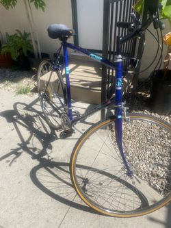 Ross Peryton Steel Road XC Bike