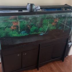 55 Gallon Tank  With Stand And Sand