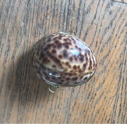 Shell of Marbles