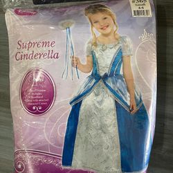 Supreme Cinderella Costume 