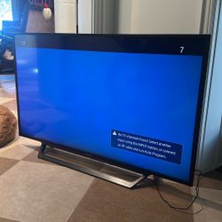 Sony Bravia 48” TV