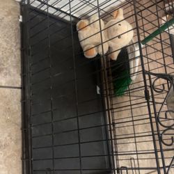 Medium Dog Crate 