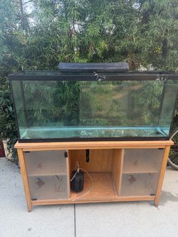 75 gallon fish tank