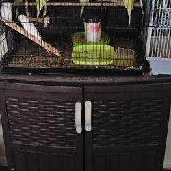 Bird Cage Todo Incluído 