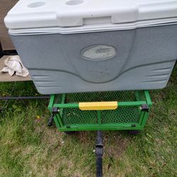 Used 52 Quart Coleman Cooler Local Pickup Cash Only