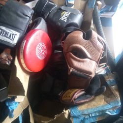 Lot Of Everlast Boxing Gear Plus Heavy Bag!