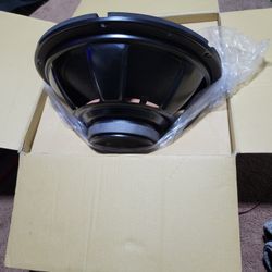 Fifteen Inch Speaker