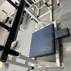 Samson leg machine 