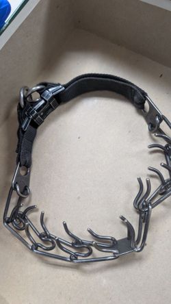 Leash/ Large
