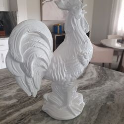 Beautiful Rooster 