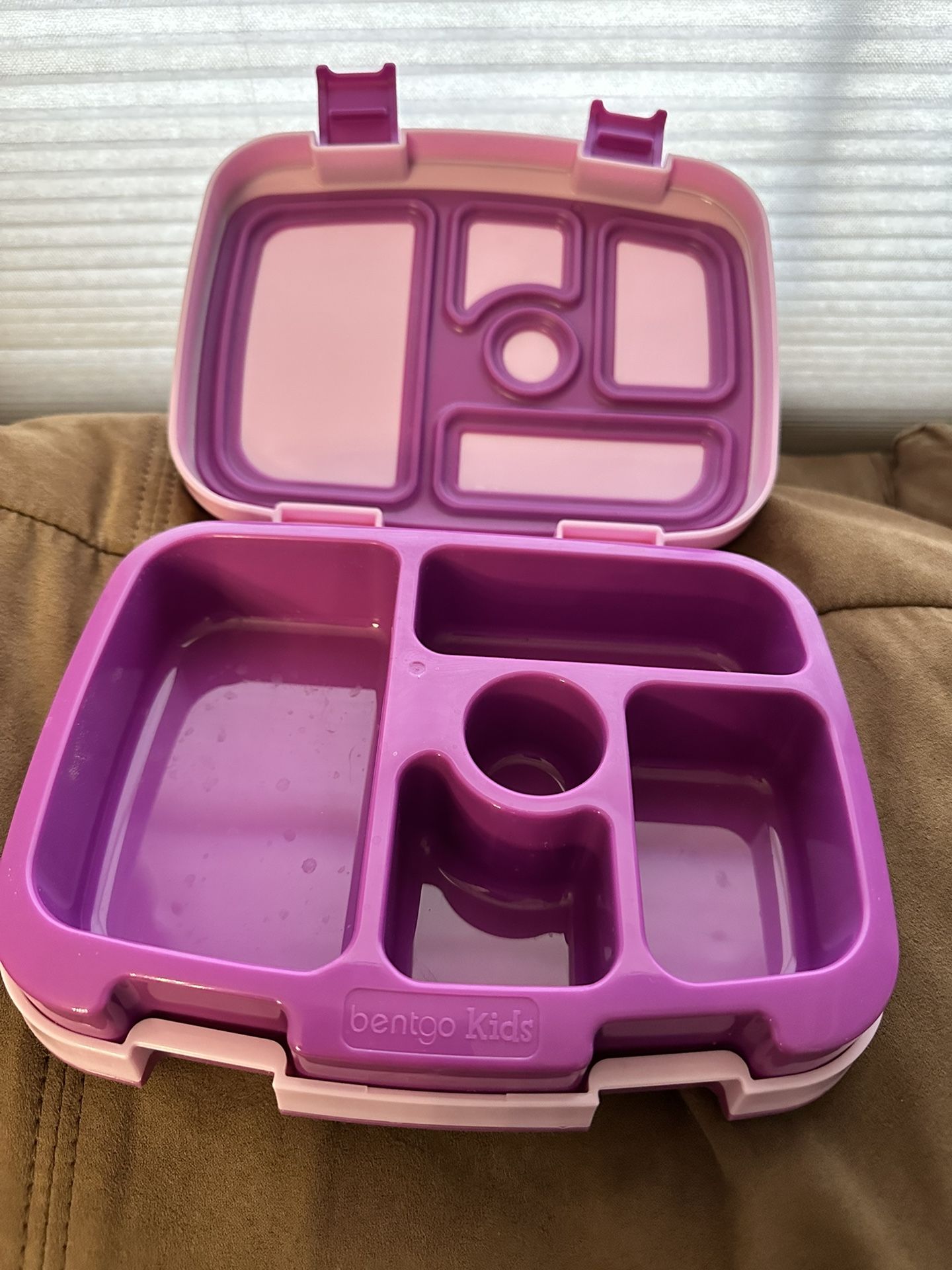 Bentgo Divided Lunch Box