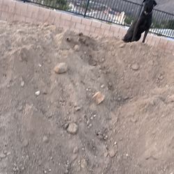 FREE CLEAN DIRT FREE DELIVERY SOFT CLAN DIRT