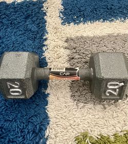 20 Pound Dumbbell (Single)