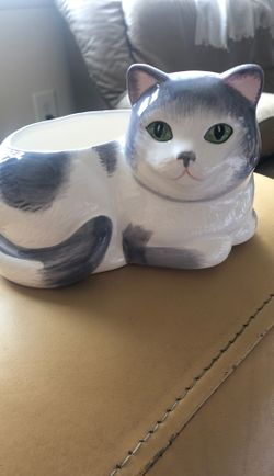 Cat planter