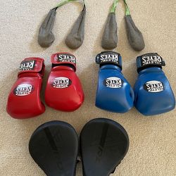 Cleto Reyes boxing gloves and Punch mitts
