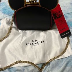 Coach Disney Purse 