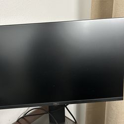 DELL 24inch FULl HD Monitor. 