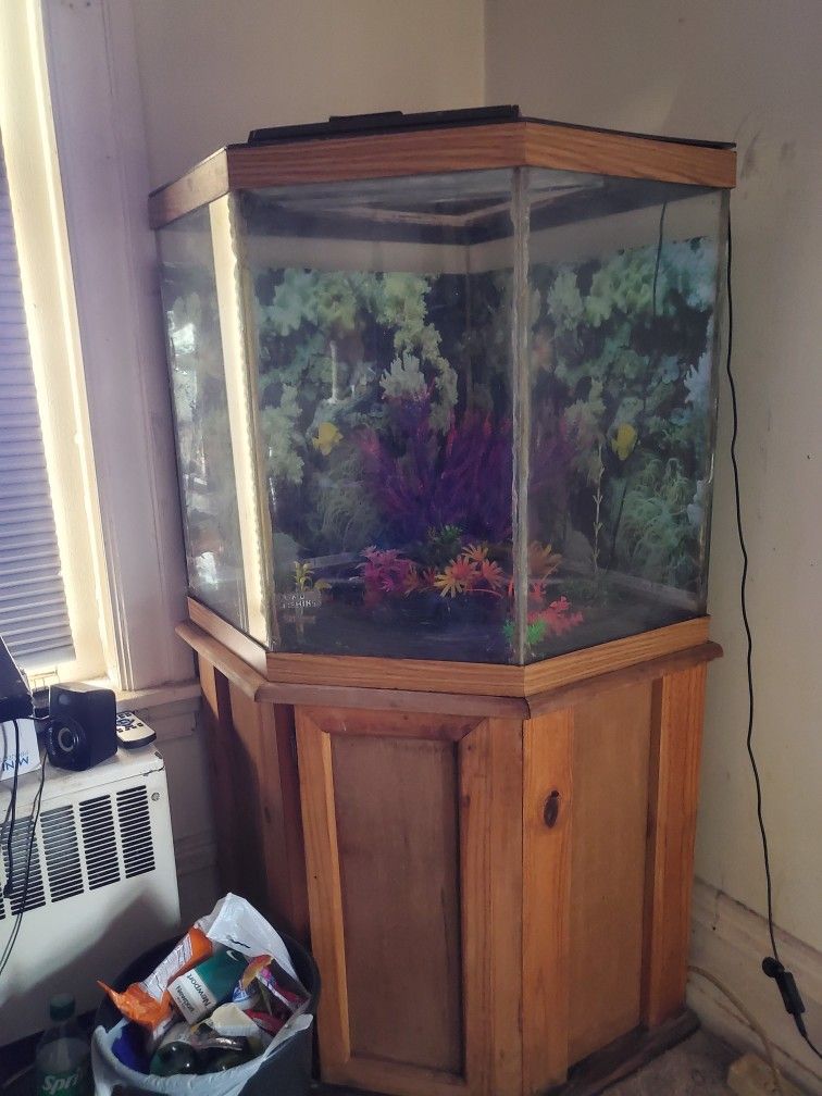 Fish Tank Older Tank 400