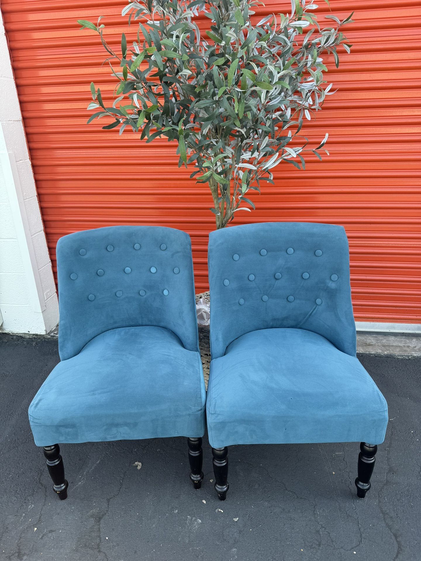 Decorative Accent Velvet Chairs Furniture