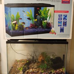 10 G Fish Tank For Free 
