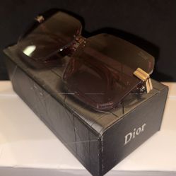 Christian Dior Oversized Sunglasses