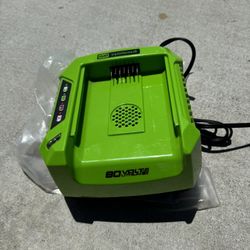 CHARGER 80 Volt (NEW)