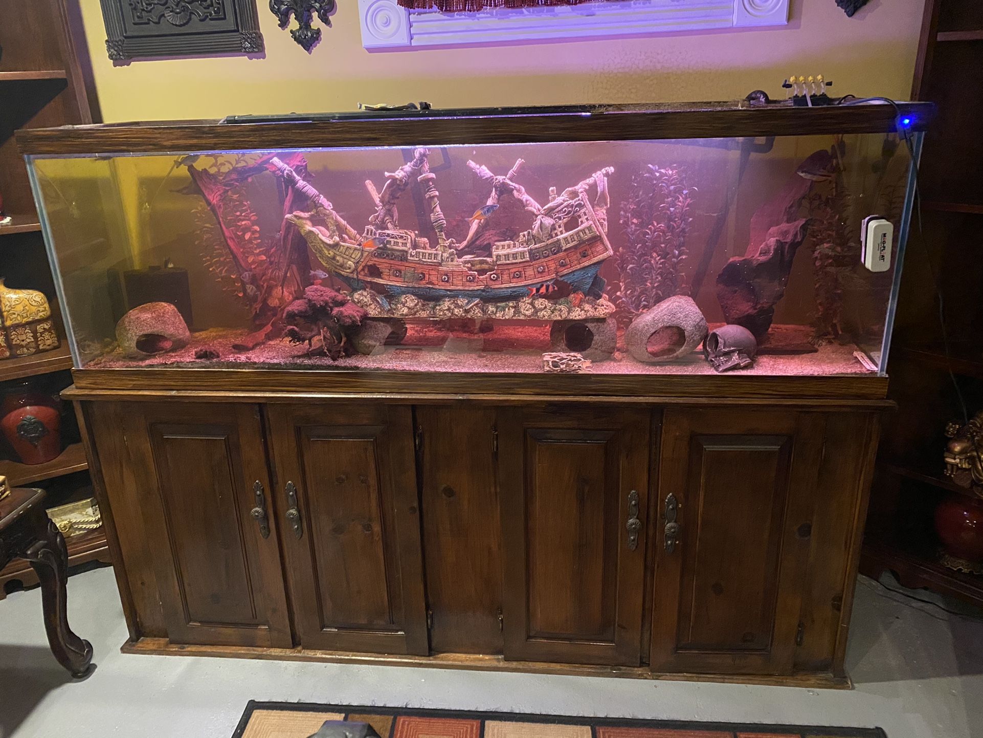 125 Gallon Fish tank