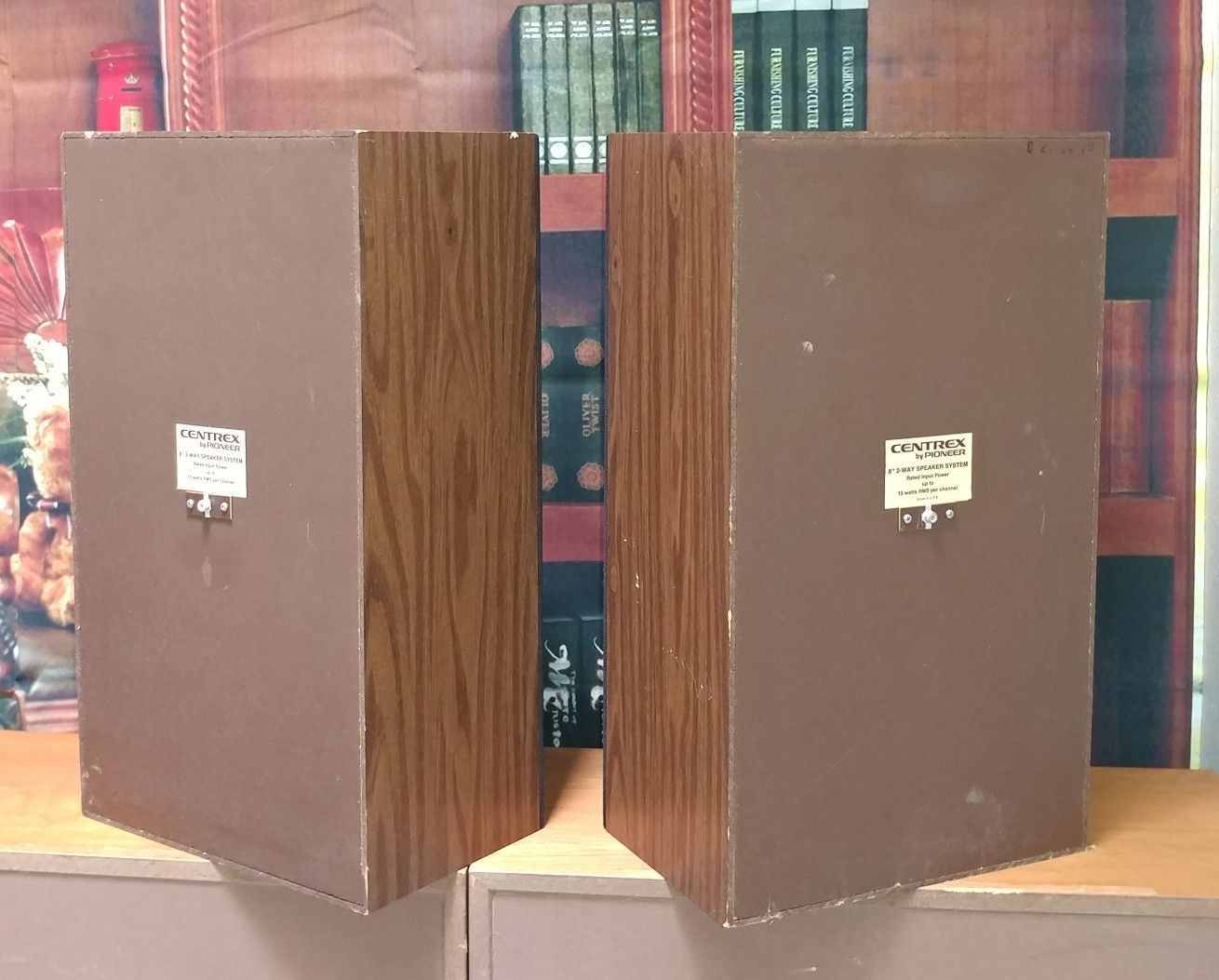 Centrex Pioneer vintage Stereo speakers