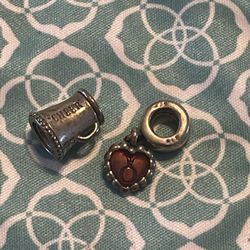 Pandora Charms 