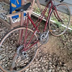 Nishiki 10 Speed Bicycle
