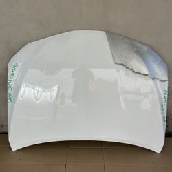 2018 - 2024 Toyota Camry Hood OEM