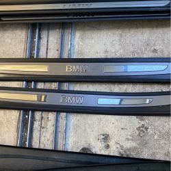BMW Door Moldings