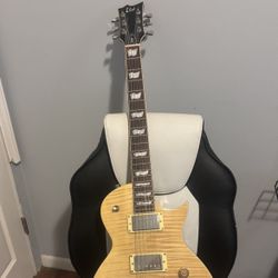 LTD Electric Guitar