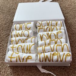 Month Milestone Onesies