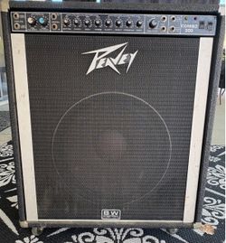 Peavey Combo 300