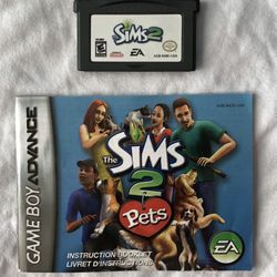 Sims 2 Gameboy