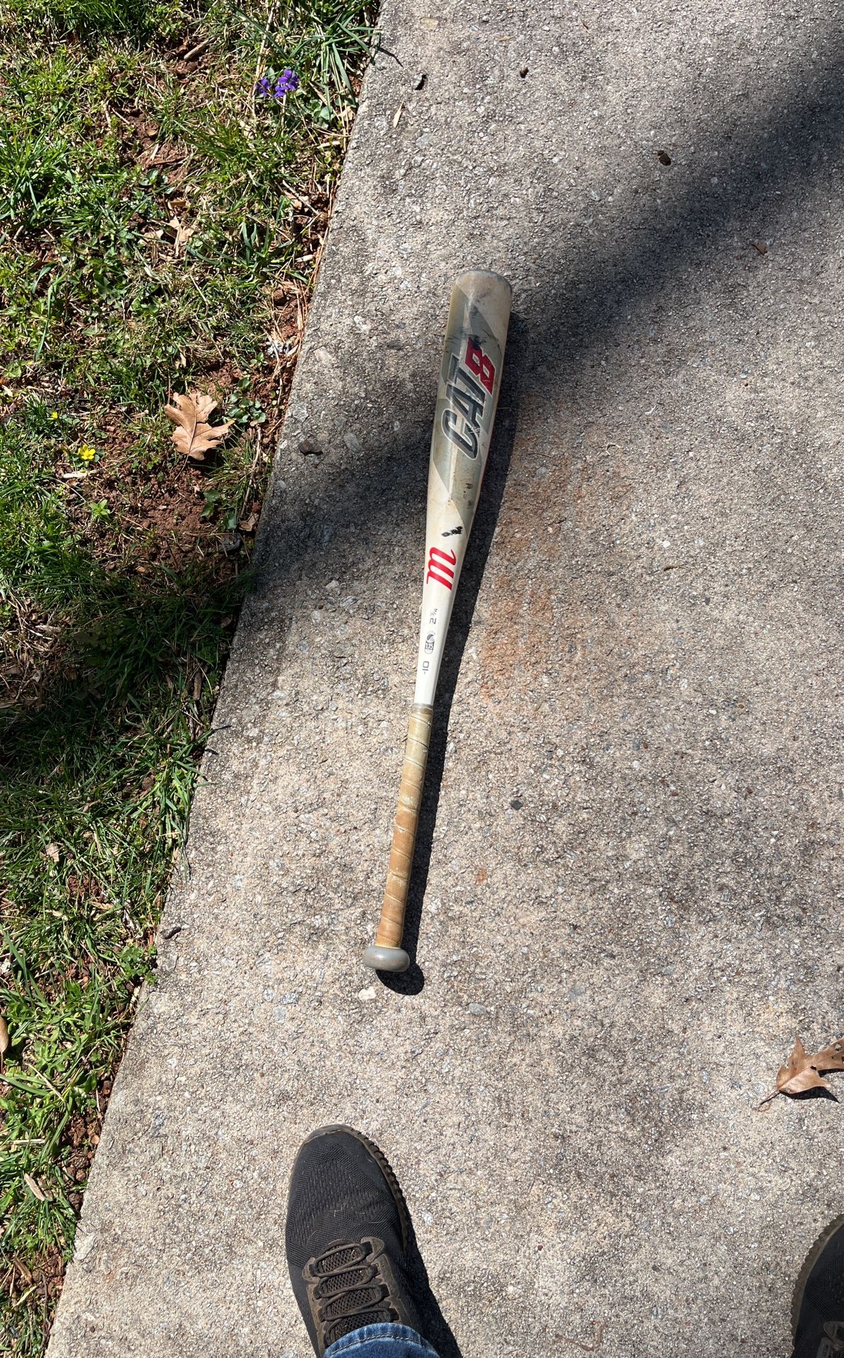 Baseball Bat