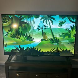 65” Inch Roku TV