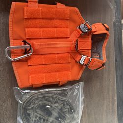 Small dog vest and leash