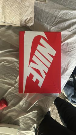 brand new panda dunks