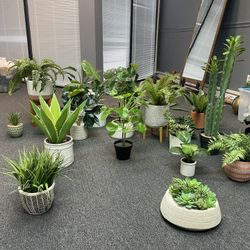 Faux Plants And Succulents