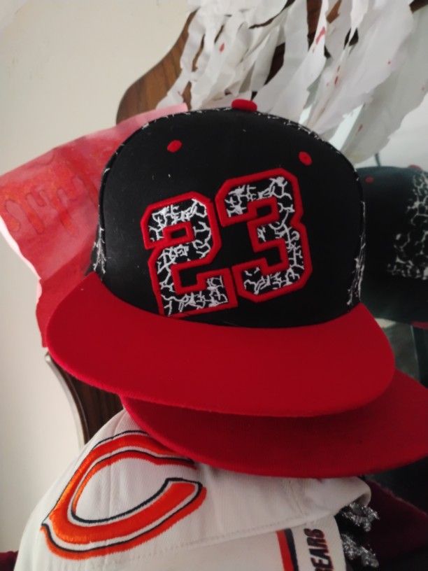 Bulls Hat