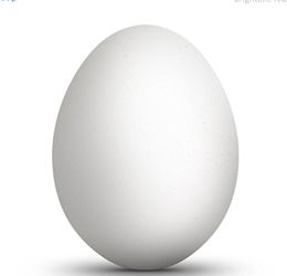 Egg