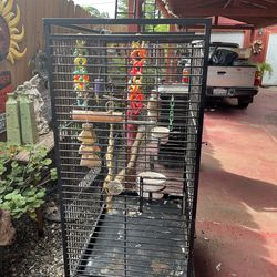 Iron Bird cage