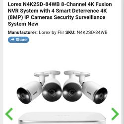 Lorax Security Camera Surveillance System