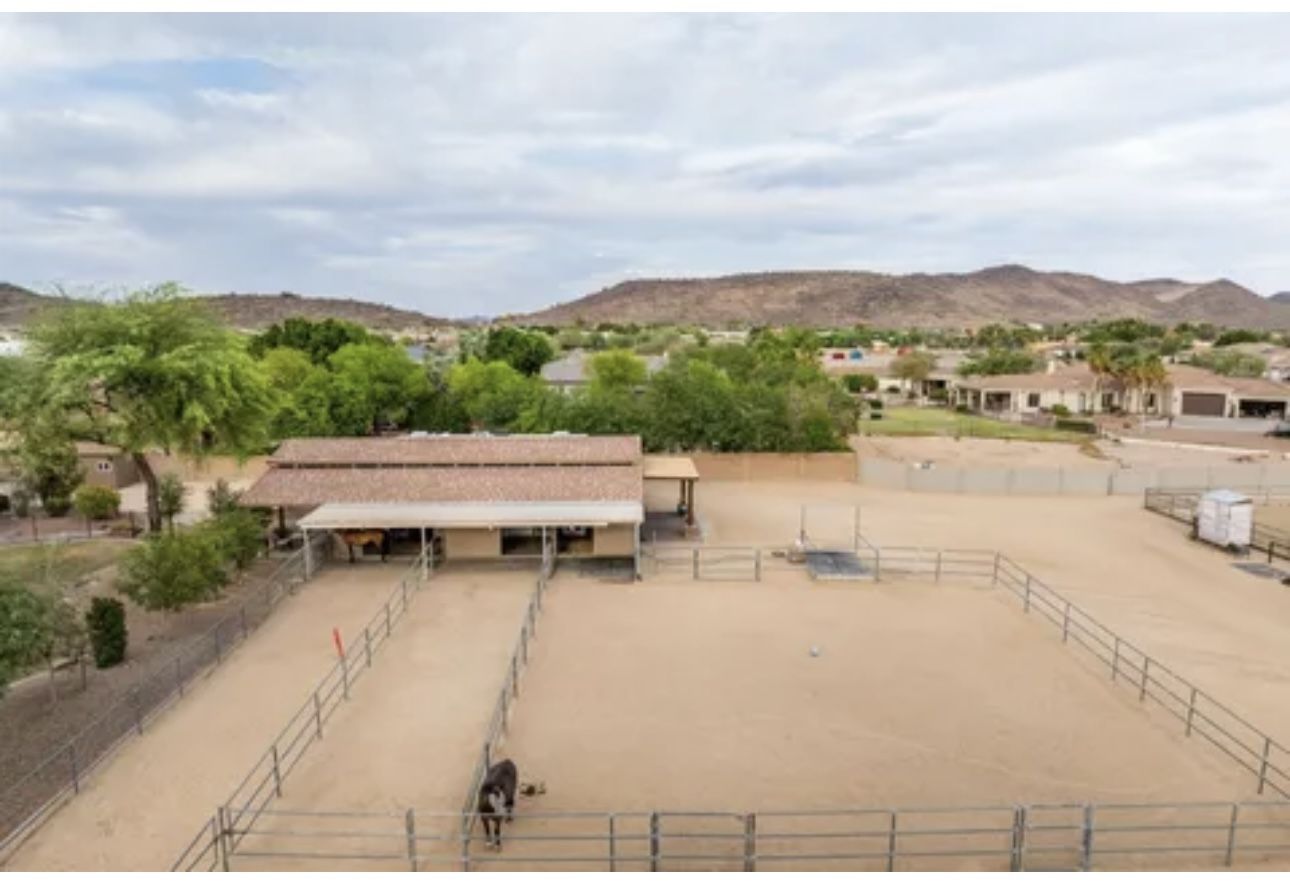 Horse Fencing 